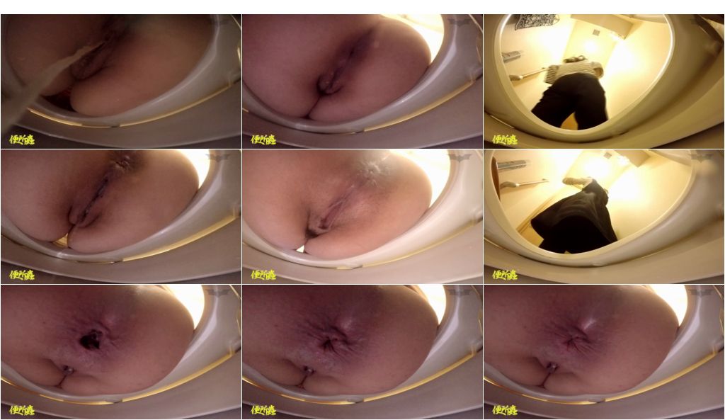 http://majav.org/Pic/Chinese_Toilet_Bowlcam_3.jpeg
