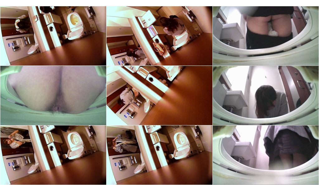 http://majav.org/Pic/Chinese_Toilet_Bowlcam_9.jpeg